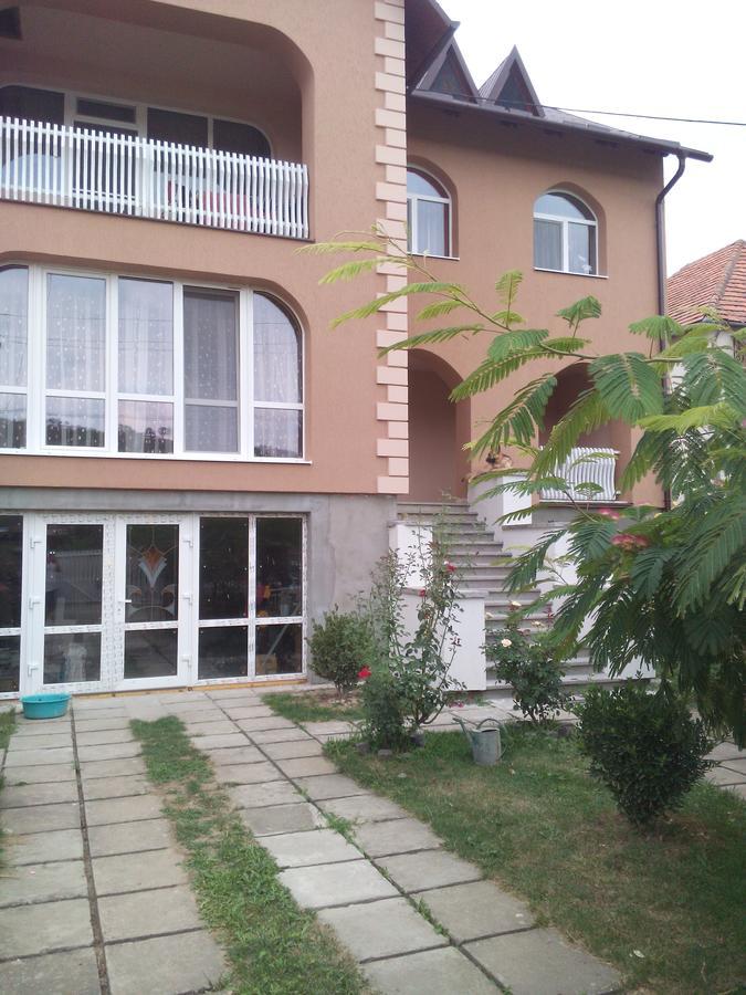 Private House Apartment Berehove  Exterior photo