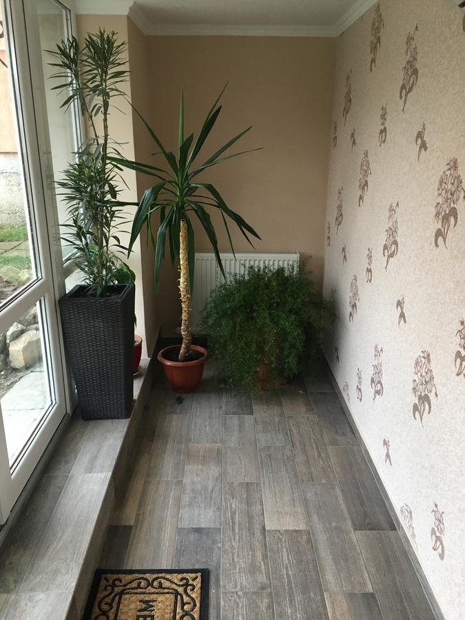 Private House Apartment Berehove  Exterior photo