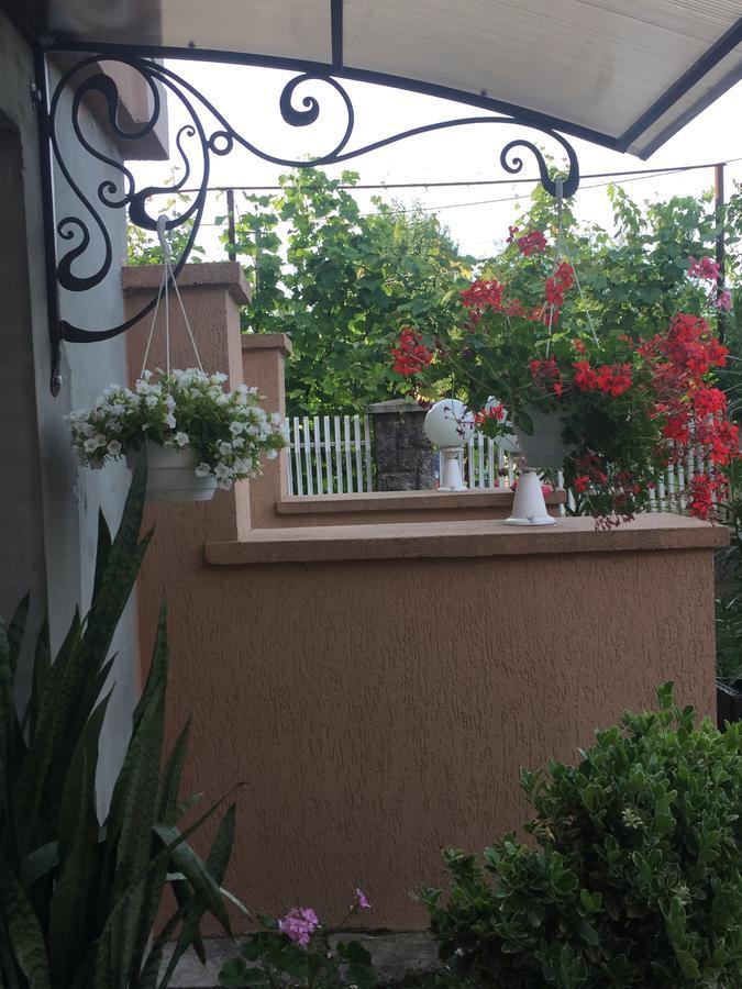 Private House Apartment Berehove  Exterior photo